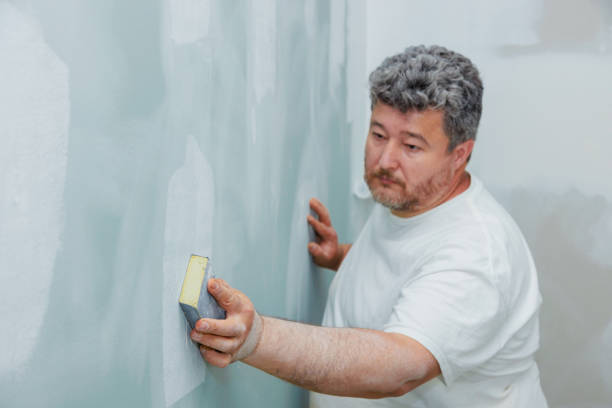 Best Fire-Damaged Drywall Repair  in North Valley Stream, NY